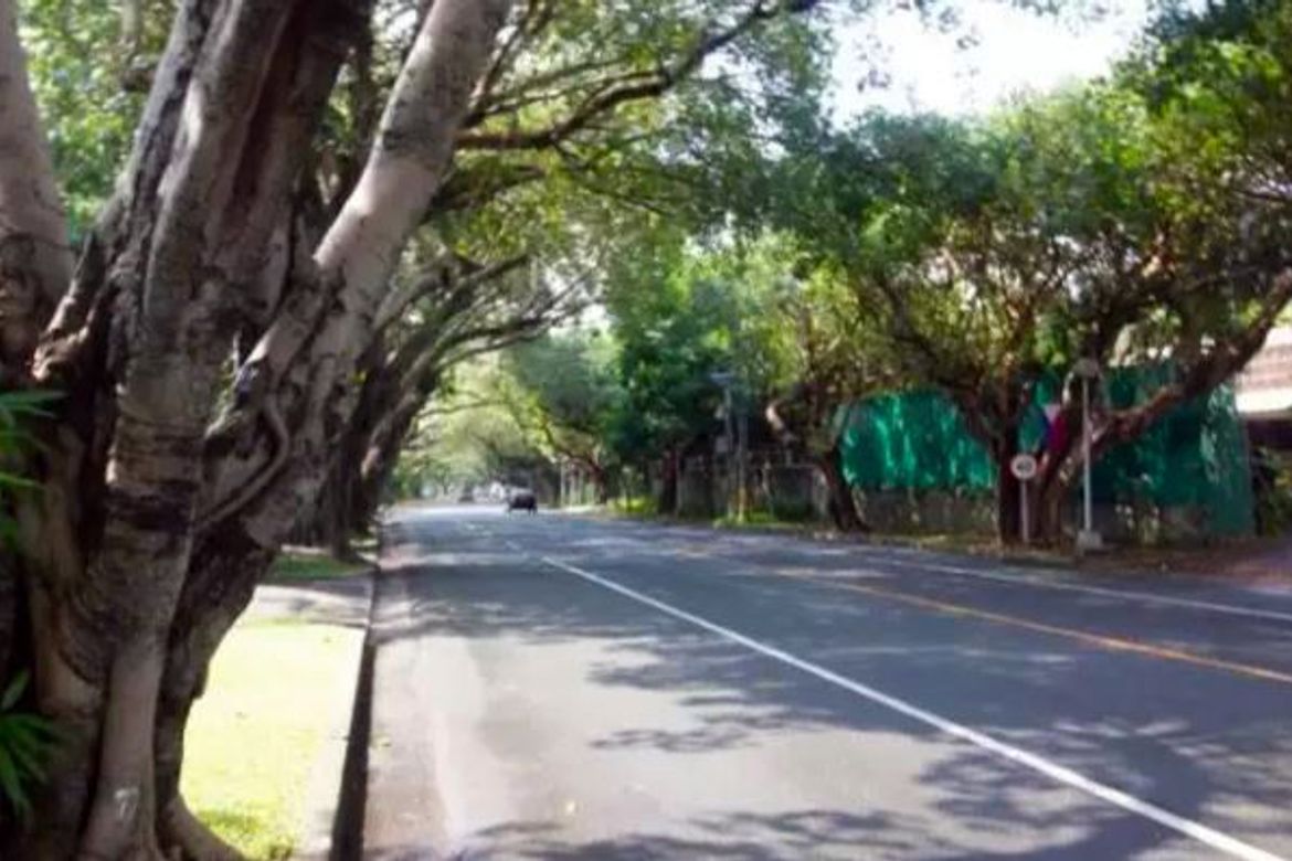 Land for Sale in Dasmariñas Village, Dasmariñas North, Makati, Metro Manila near MRT-3 Magallanes – photo 8