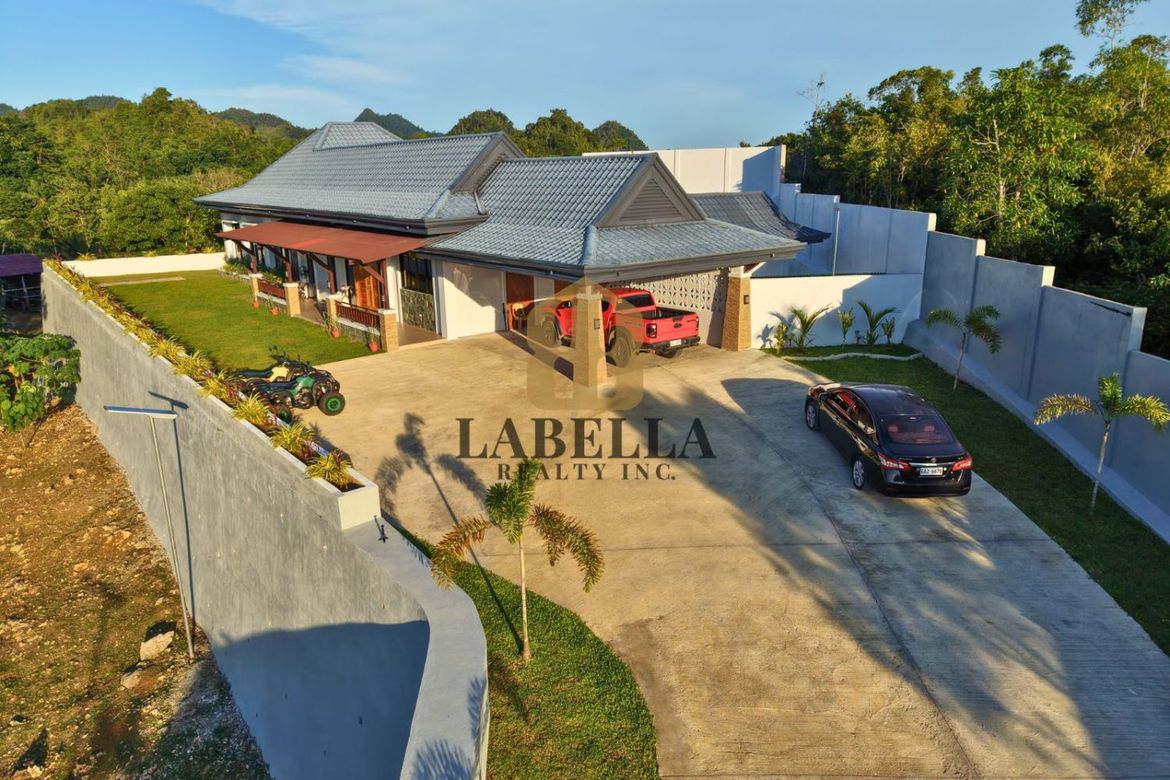 Land for Sale in Datag Sur, Balilihan, Bohol – photo 2