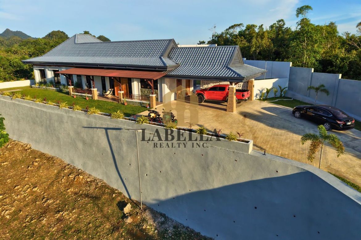 Land for Sale in Datag Sur, Balilihan, Bohol – photo 4