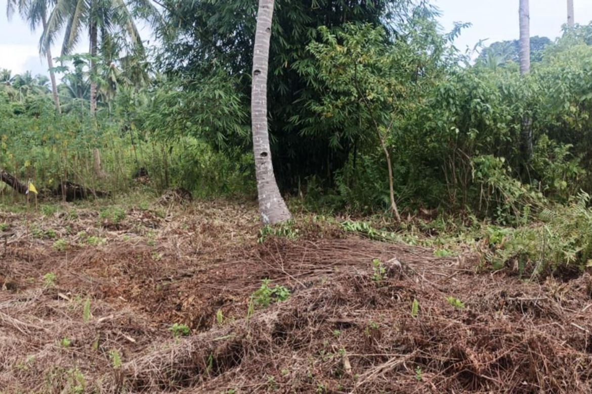 Land for Sale in Datu, Pilar, Surigao del Norte – photo 8