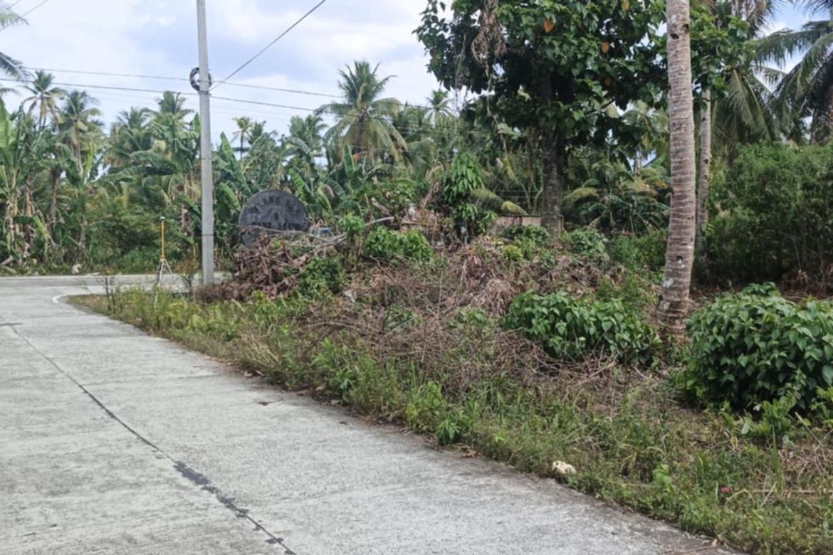 Land for Sale in Datu, Pilar, Surigao del Norte – photo 3