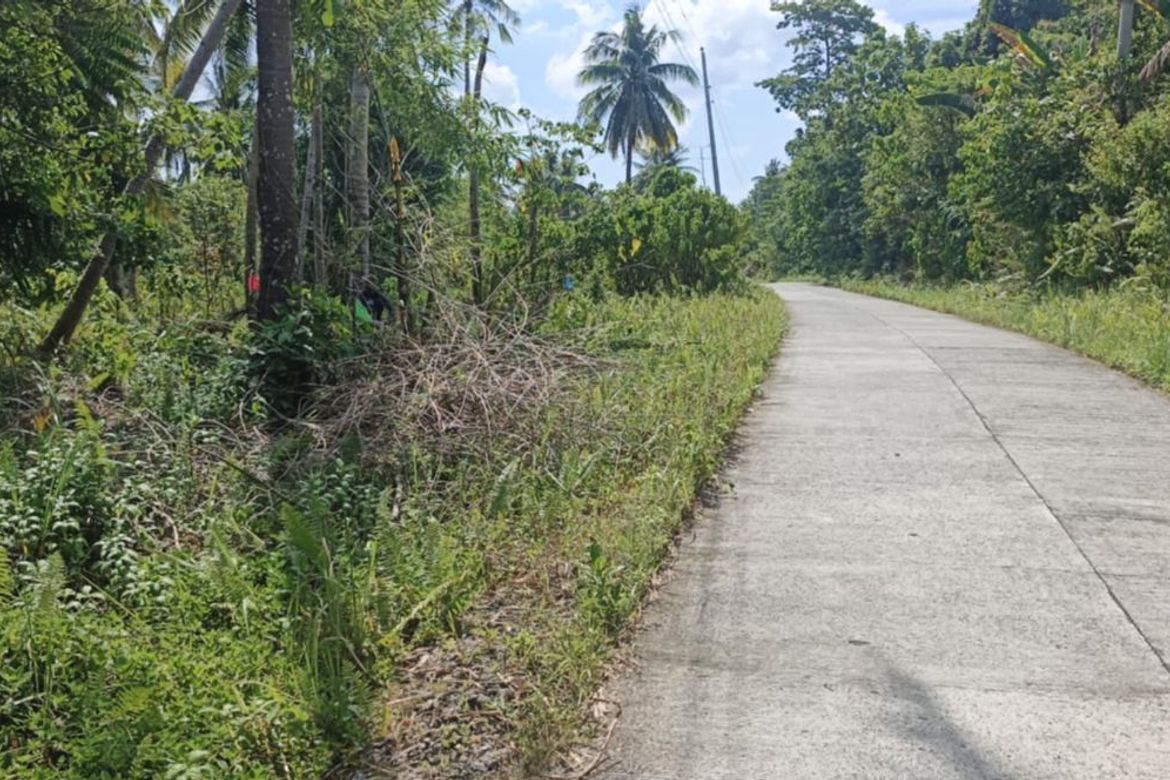 Land for Sale in Datu, Pilar, Surigao del Norte – photo 6