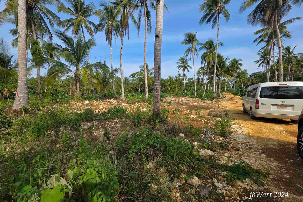 Land for Sale in Datu, Pilar, Surigao del Norte – photo 4
