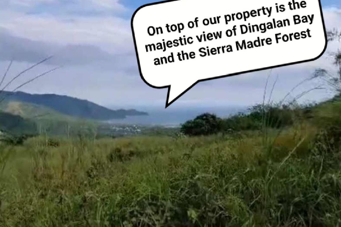 Land for Sale in Davildavilan, Dingalan, Aurora – photo 4
