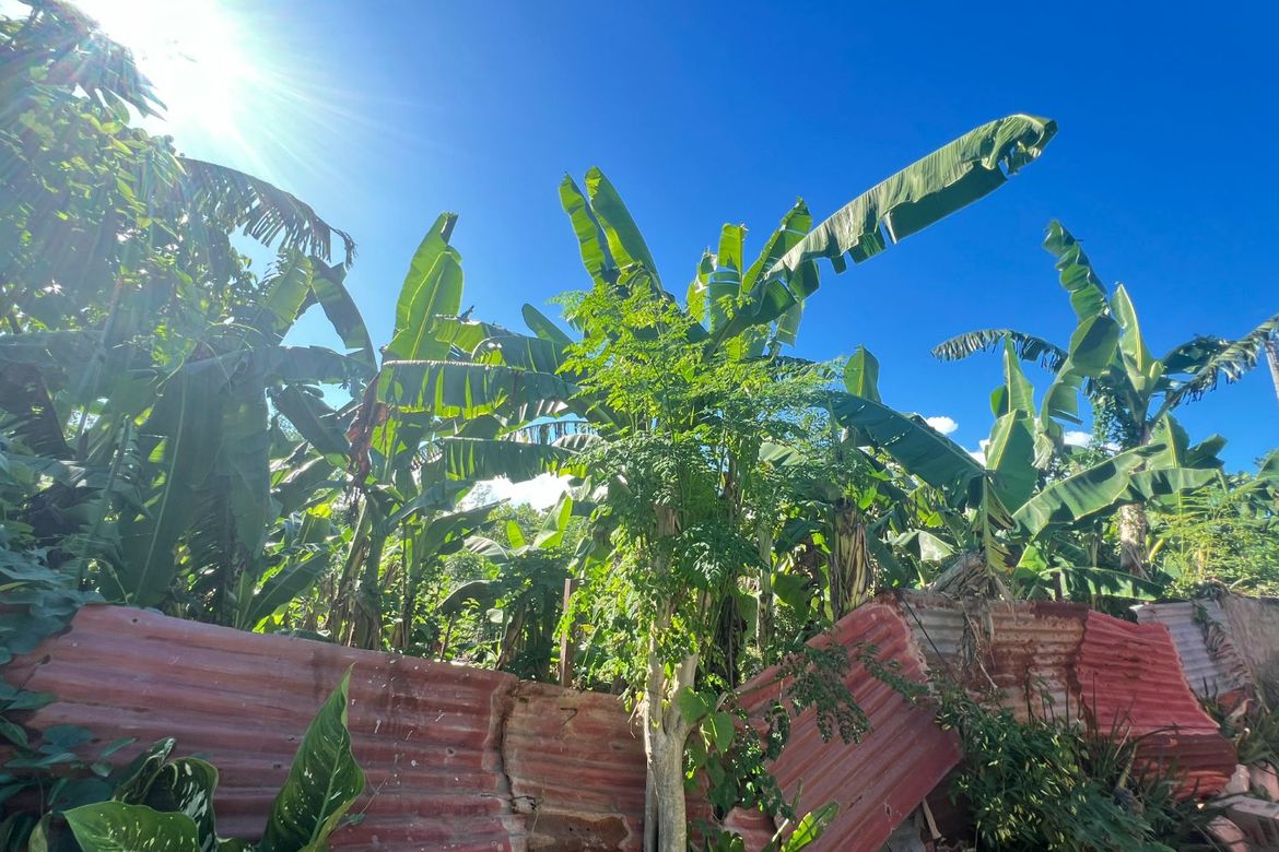 Land for Sale in Day-As, Cordoba, Cebu – photo 5