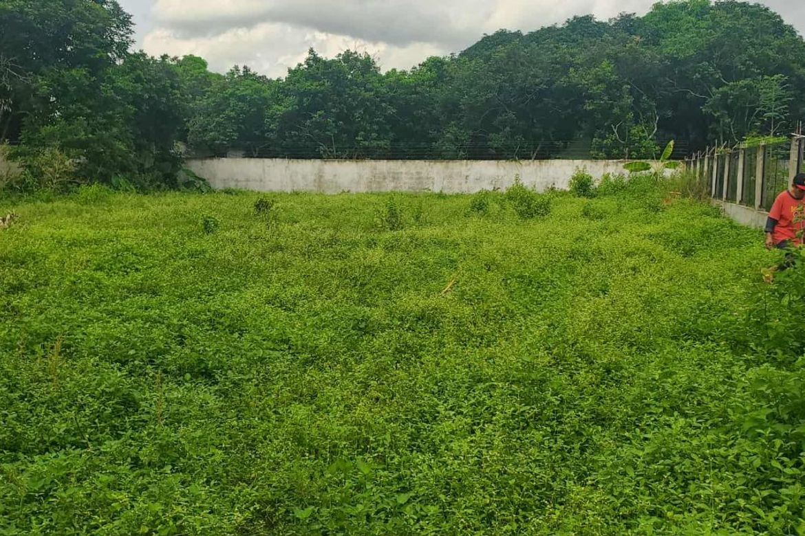 Land for Sale in Dayap, Calauan, Laguna – photo 6