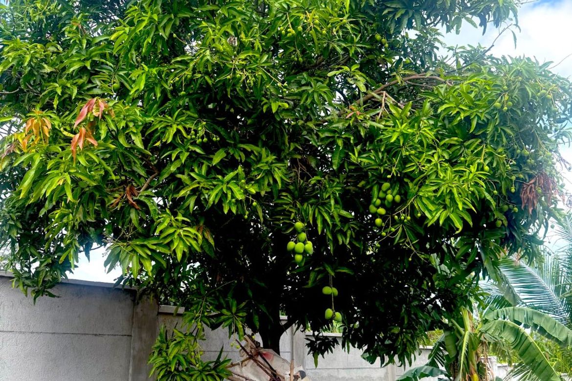 Land for Sale in De Ocampo, Trece Martires, Cavite – photo 2