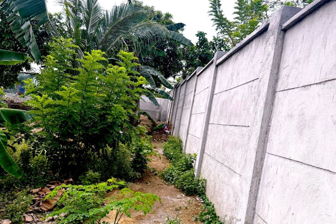 Land for Sale in De Ocampo, Trece Martires, Cavite – photo 3
