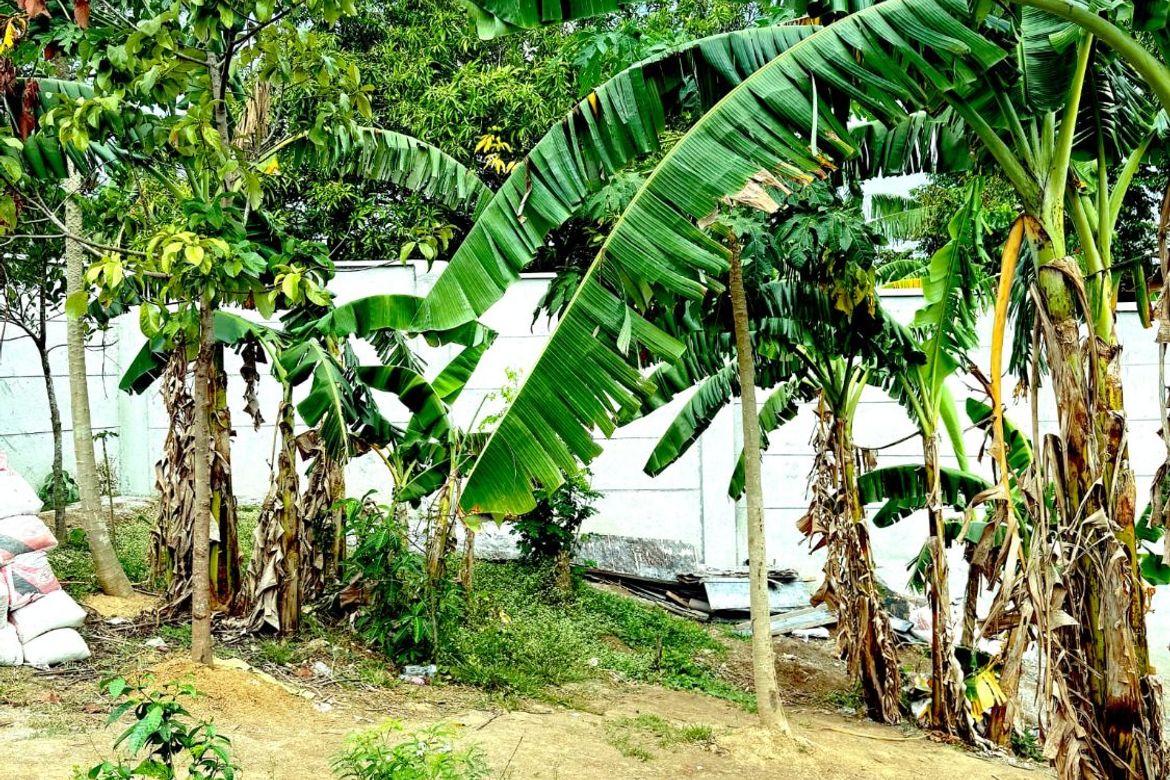 Land for Sale in De Ocampo, Trece Martires, Cavite – photo 5
