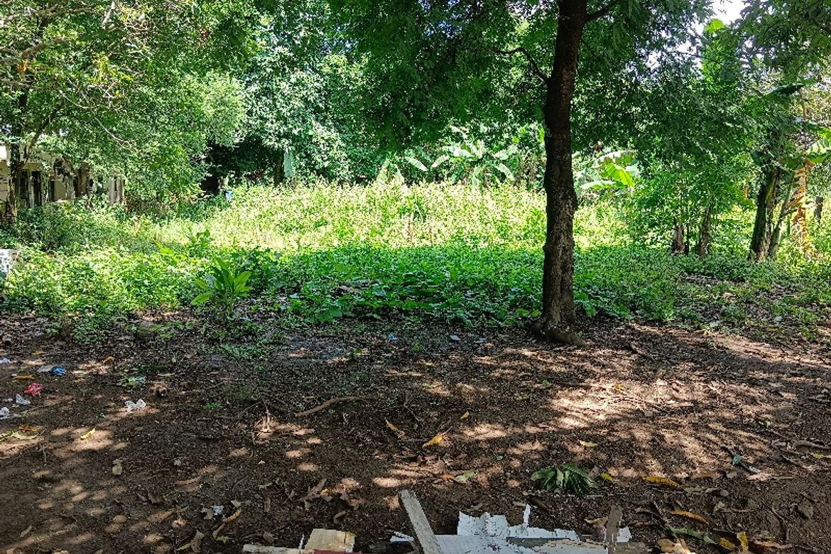 Land for Sale in De Ocampo, Trece Martires, Cavite