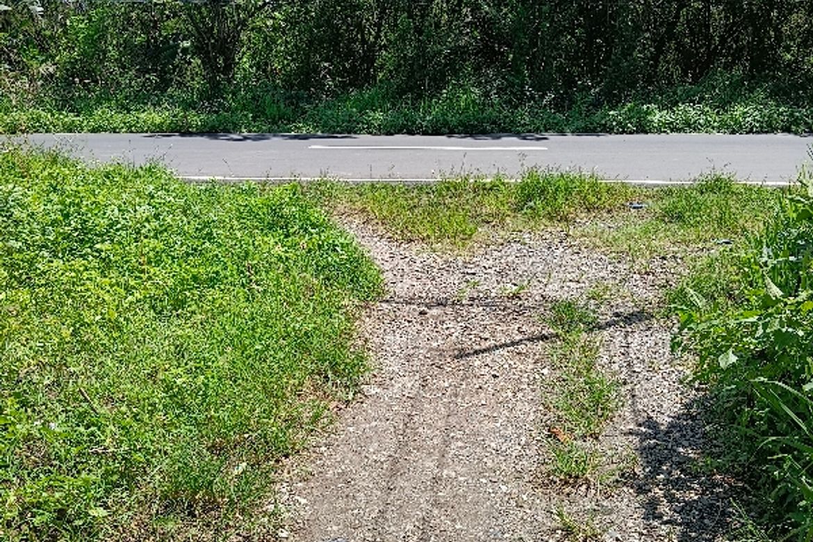 Land for Sale in De Ocampo, Trece Martires, Cavite – photo 2