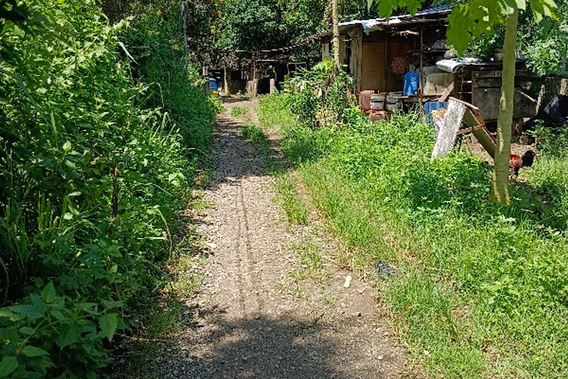 Land for Sale in De Ocampo, Trece Martires, Cavite – photo 3
