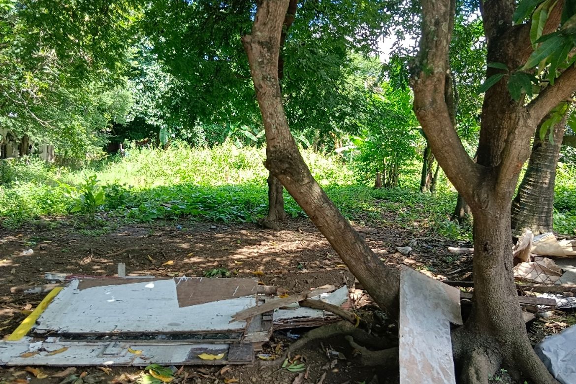 Land for Sale in De Ocampo, Trece Martires, Cavite – photo 4