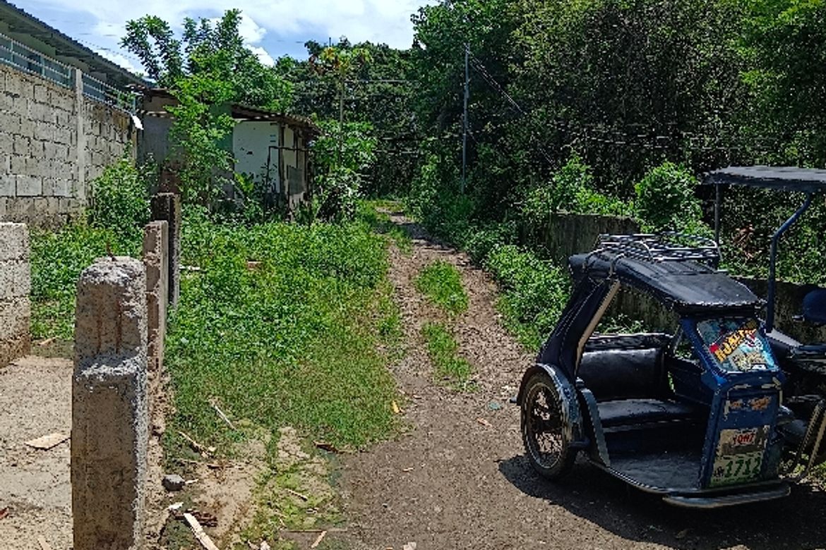 Land for Sale in De Ocampo, Trece Martires, Cavite – photo 6