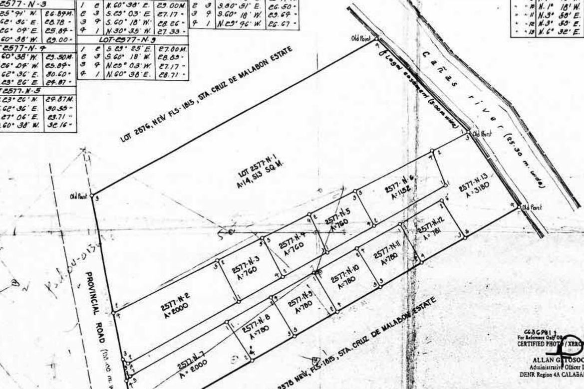 Land for Sale in De Ocampo, Trece Martires, Cavite – photo 6