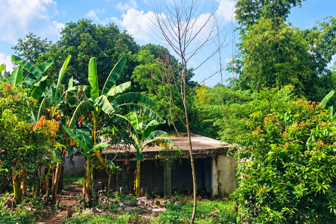 Land for Sale in De Ocampo, Trece Martires, Cavite