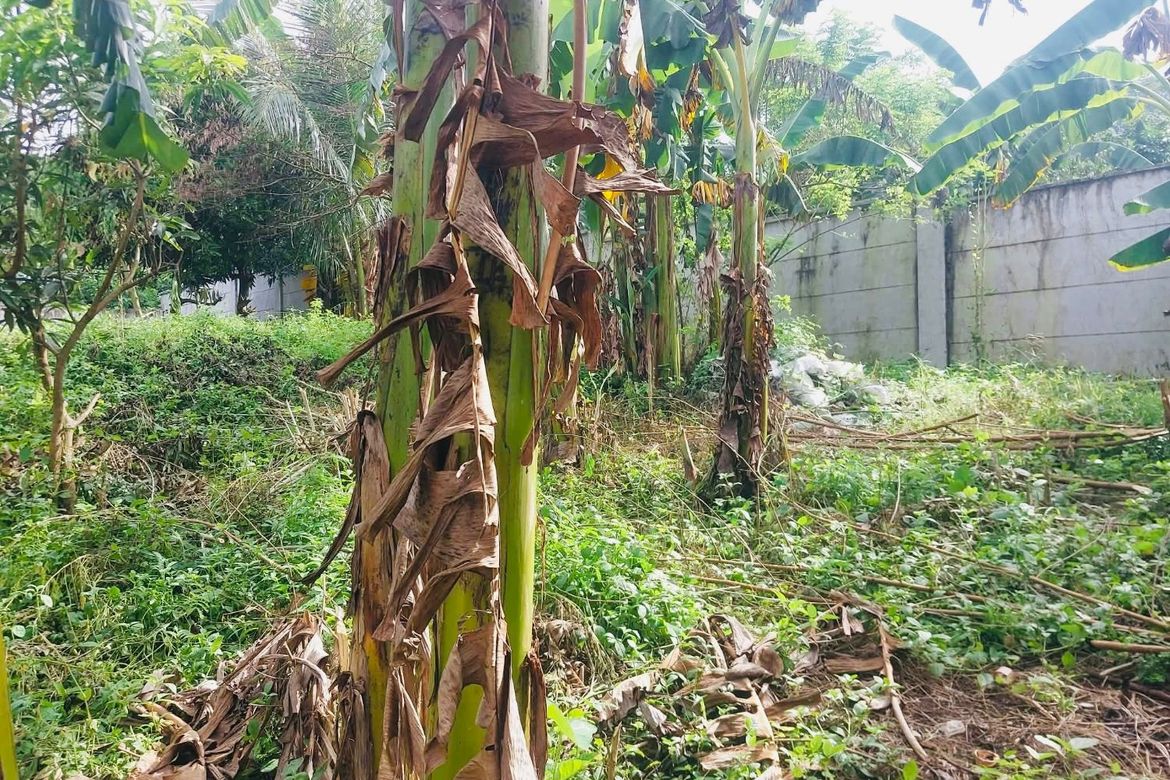 Land for Sale in De Ocampo, Trece Martires, Cavite – photo 4