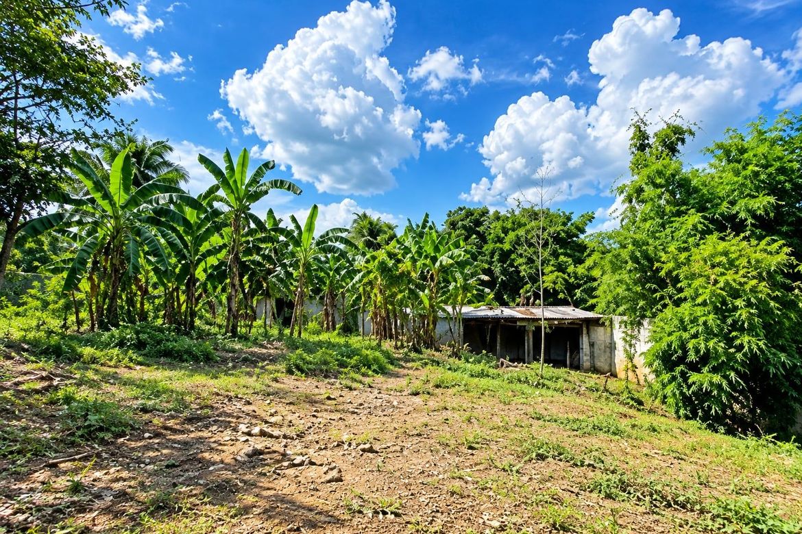 Land for Sale in De Ocampo, Trece Martires, Cavite – photo 5
