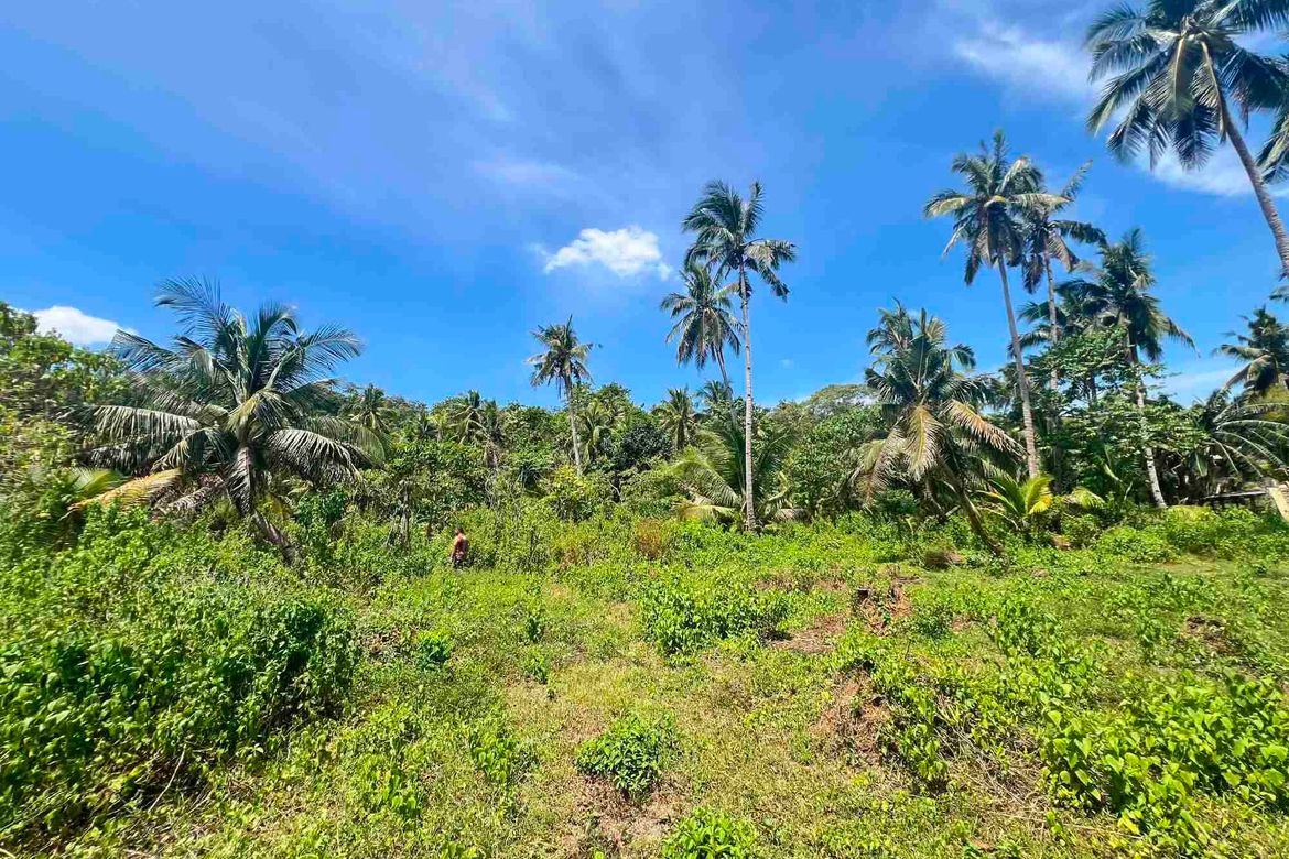 Land for Sale in Del Carmen, San Isidro, Surigao del Norte – photo 4
