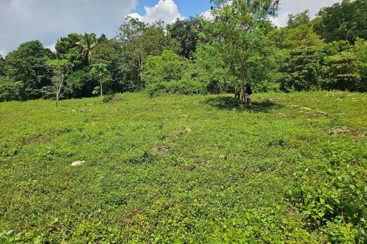Land for Sale in Del Carmen Sur, Balilihan, Bohol