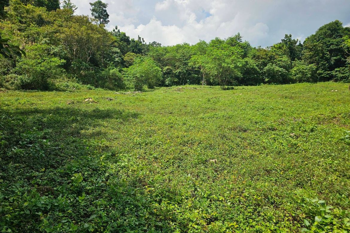 Land for Sale in Del Carmen Sur, Balilihan, Bohol – photo 3