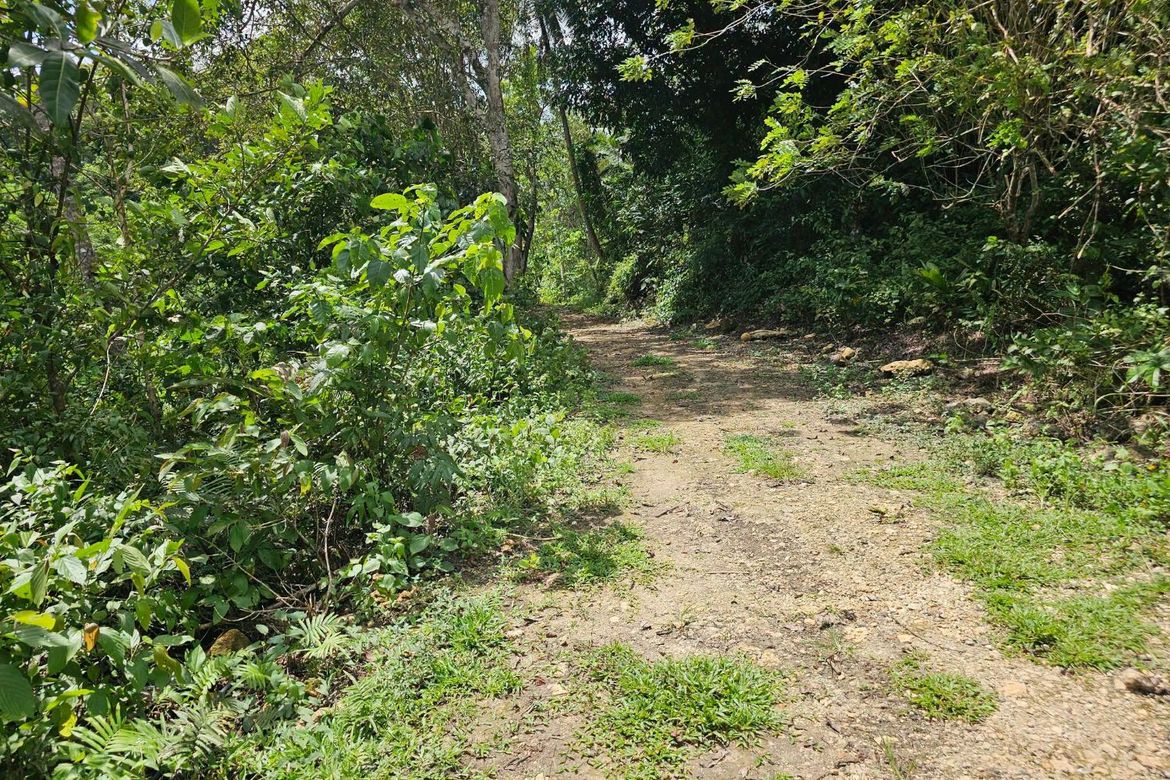Land for Sale in Del Carmen Sur, Balilihan, Bohol – photo 4