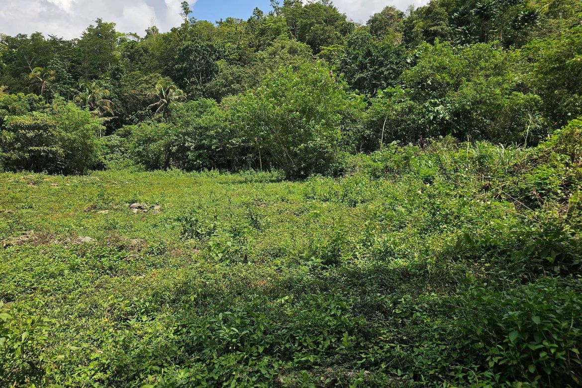 Land for Sale in Del Carmen Sur, Balilihan, Bohol – photo 6