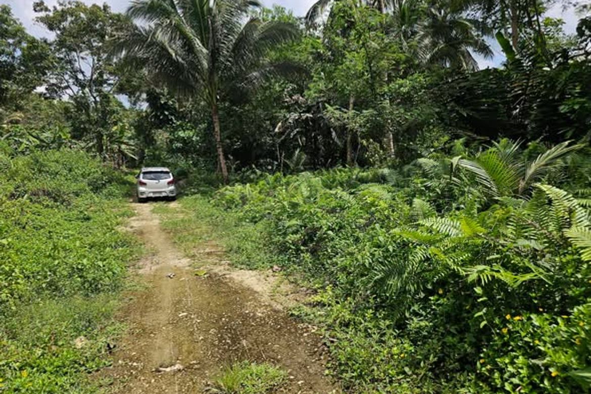 Land for Sale in Del Carmen Sur, Balilihan, Bohol – photo 7