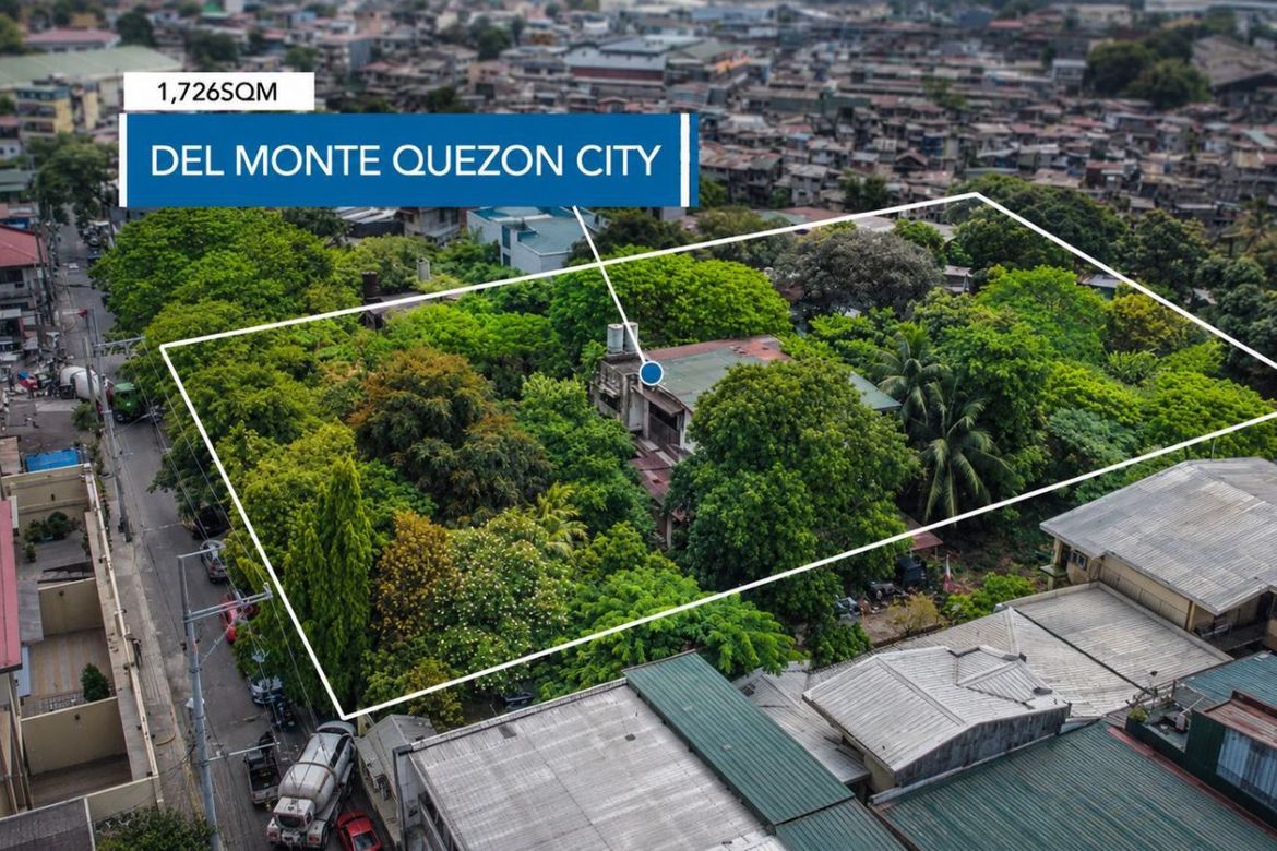 Land for Sale in Del Monte, Quezon City, Metro Manila – photo 2