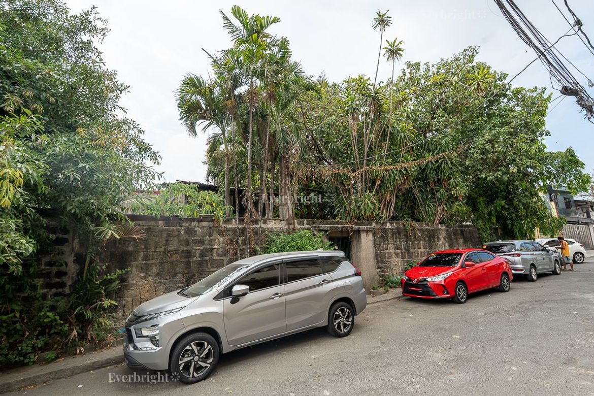Land for Sale in Del Monte, Quezon City, Metro Manila – photo 3