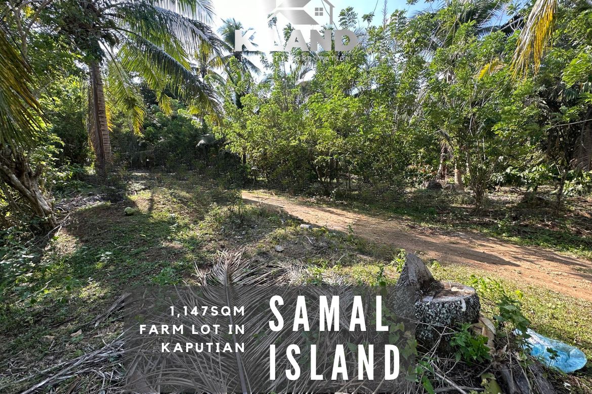 Land for Sale in Del Monte, Samal, Davao del Norte