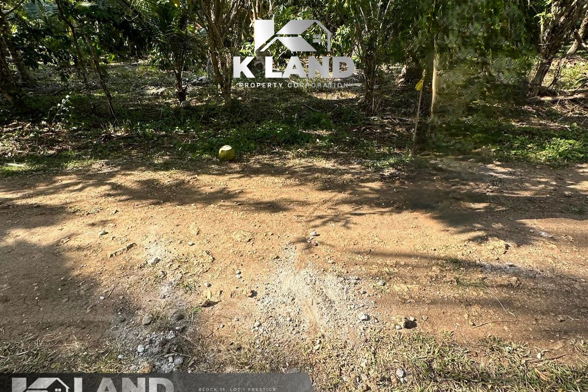 Land for Sale in Del Monte, Samal, Davao del Norte – photo 2