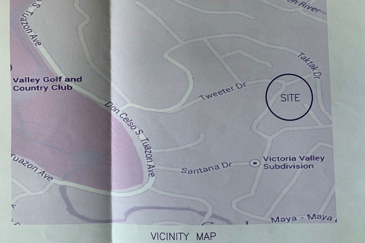 Land for Sale in Dela Paz, Antipolo, Rizal – photo 3