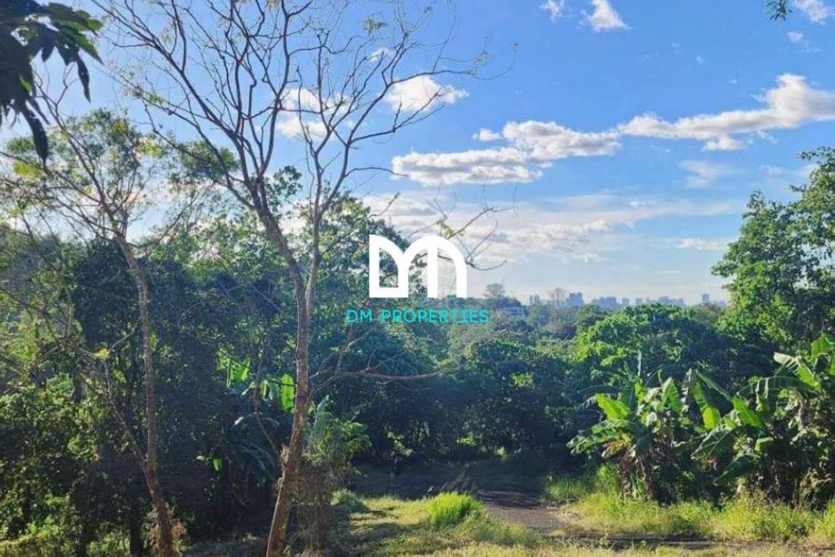 Land for Sale in Dela Paz, Antipolo, Rizal