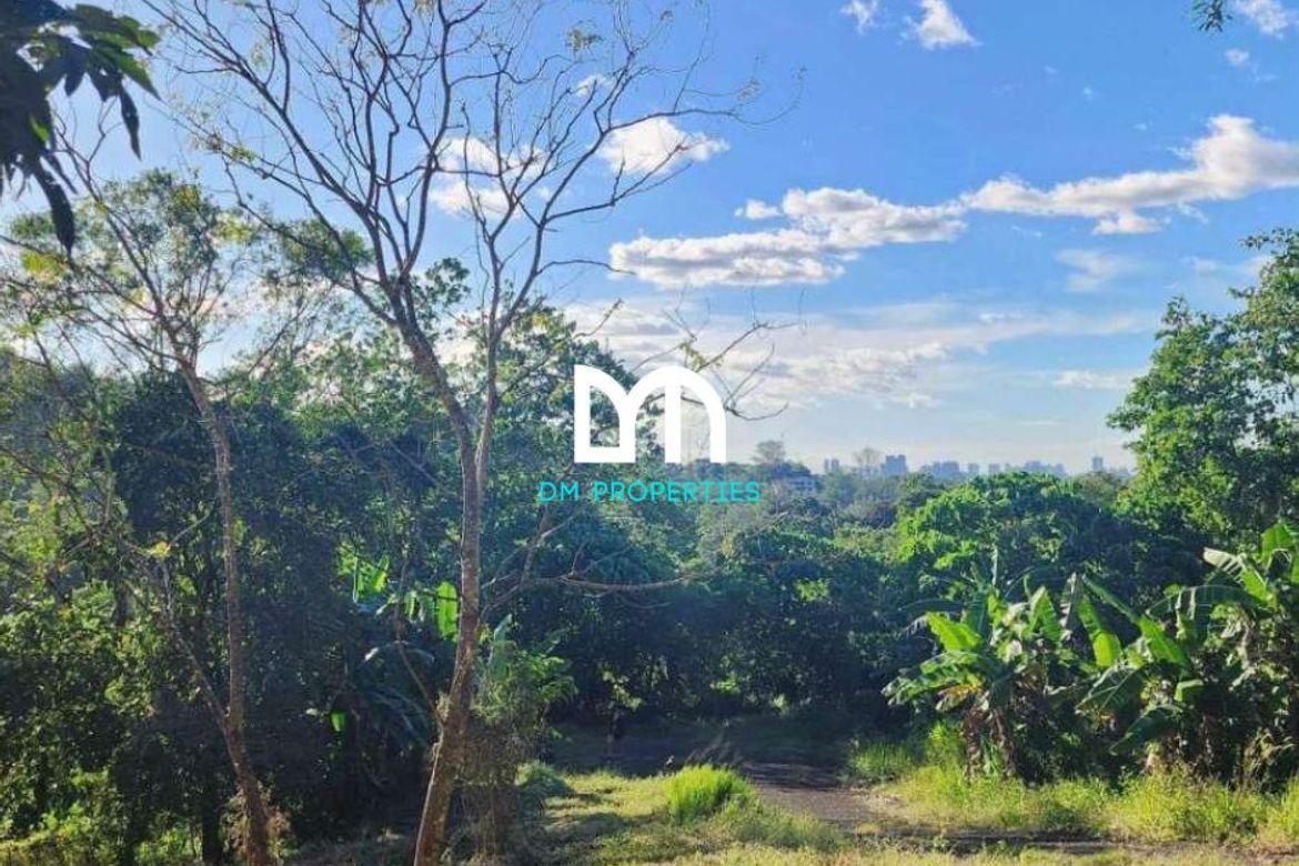 Land for Sale in Dela Paz, Antipolo, Rizal – photo 2