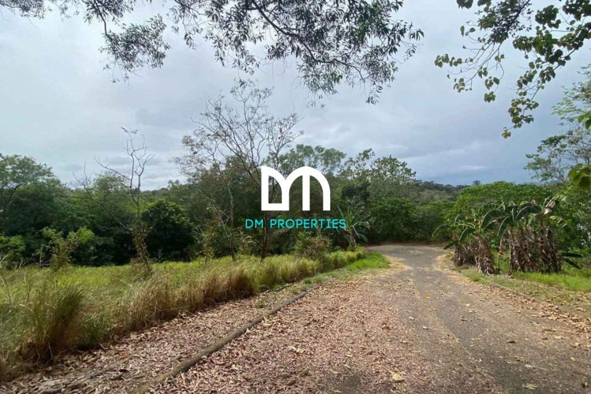 Land for Sale in Dela Paz, Antipolo, Rizal – photo 4