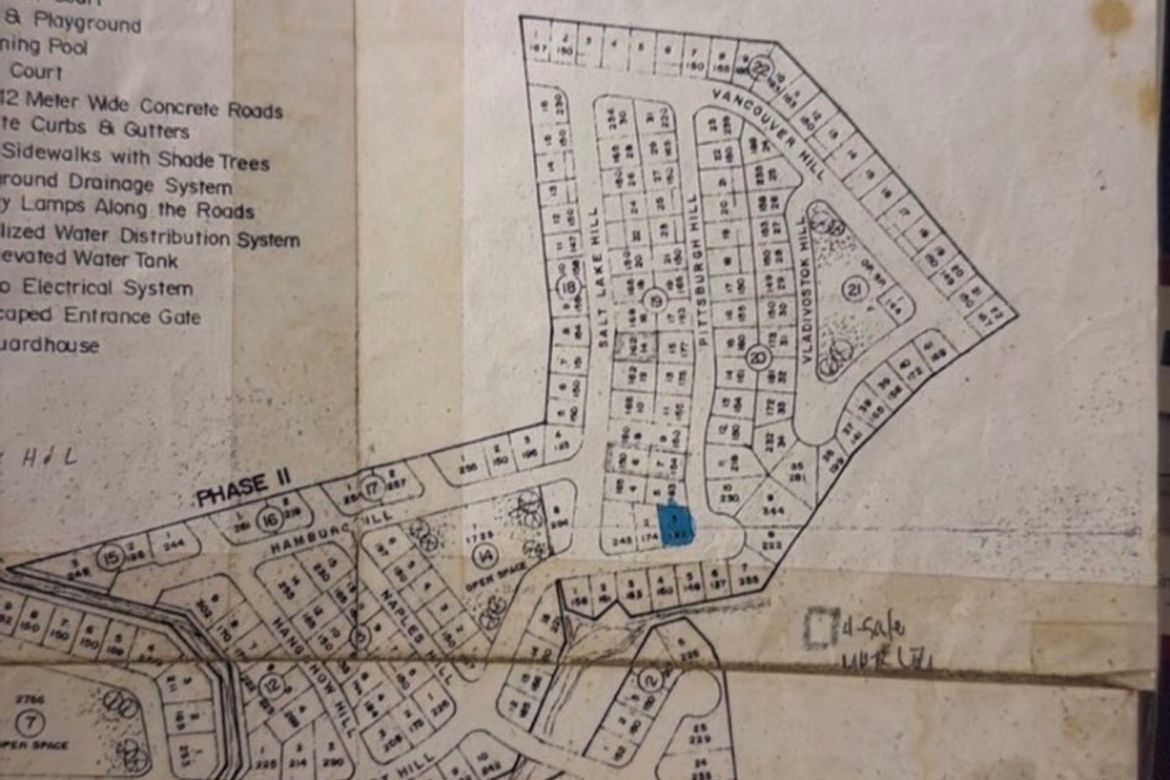 Land for Sale in Dela Paz, Antipolo, Rizal – photo 3