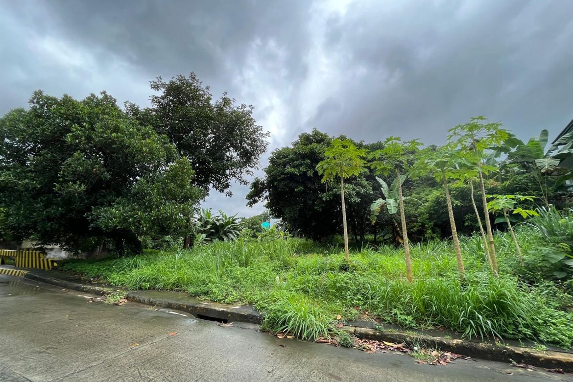 Land for Sale in Dela Paz, Antipolo, Rizal – photo 2