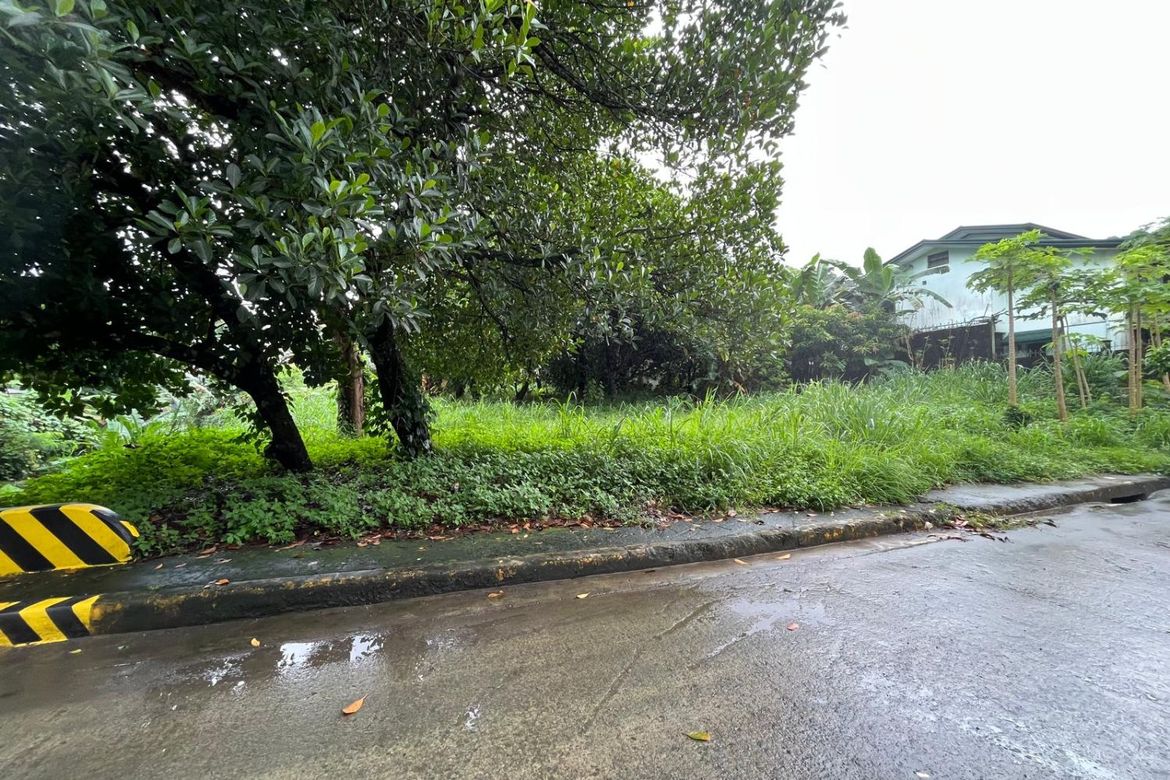 Land for Sale in Dela Paz, Antipolo, Rizal – photo 3