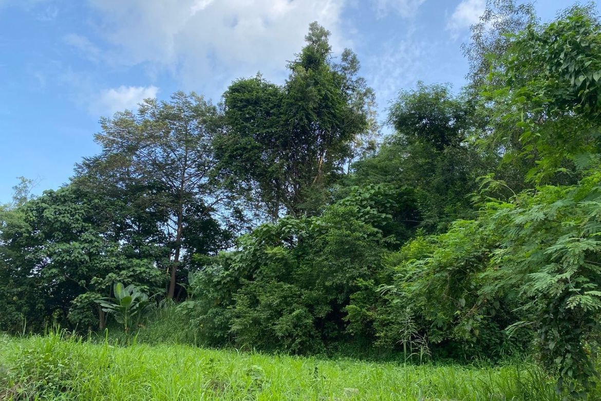 Land for Sale in Dela Paz, Antipolo, Rizal – photo 2