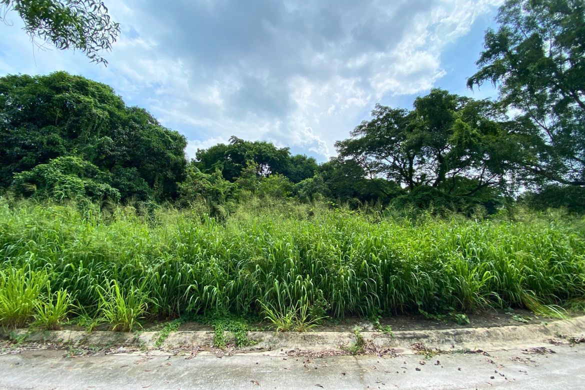 Land for Sale in Dela Paz, Antipolo, Rizal
