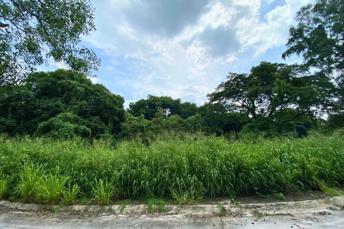 Land for Sale in Dela Paz, Antipolo, Rizal – photo 2