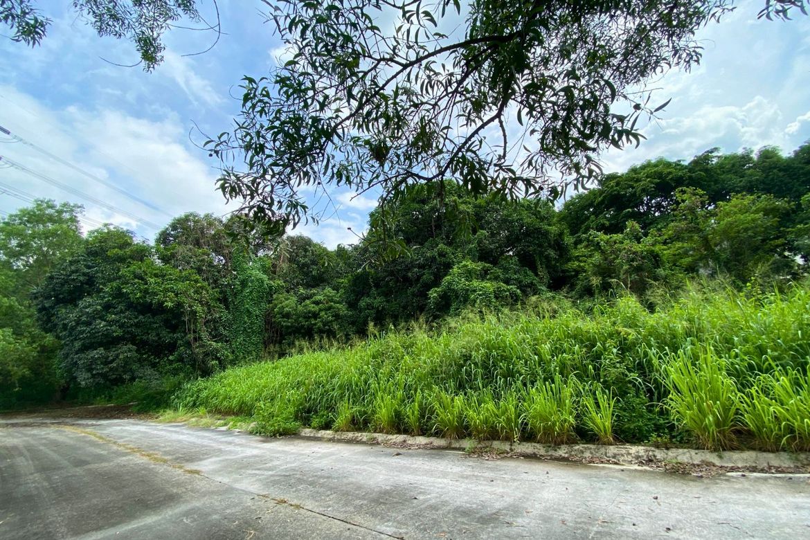 Land for Sale in Dela Paz, Antipolo, Rizal – photo 3