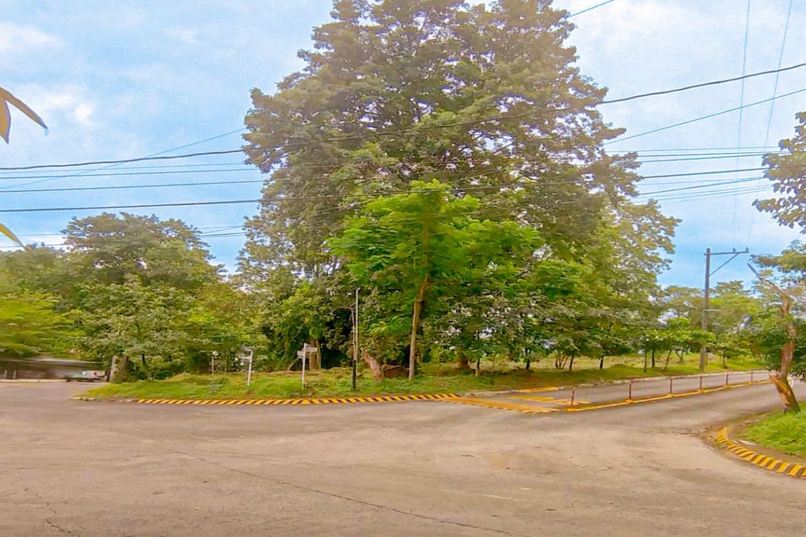 Land for Sale in Dela Paz, Antipolo, Rizal