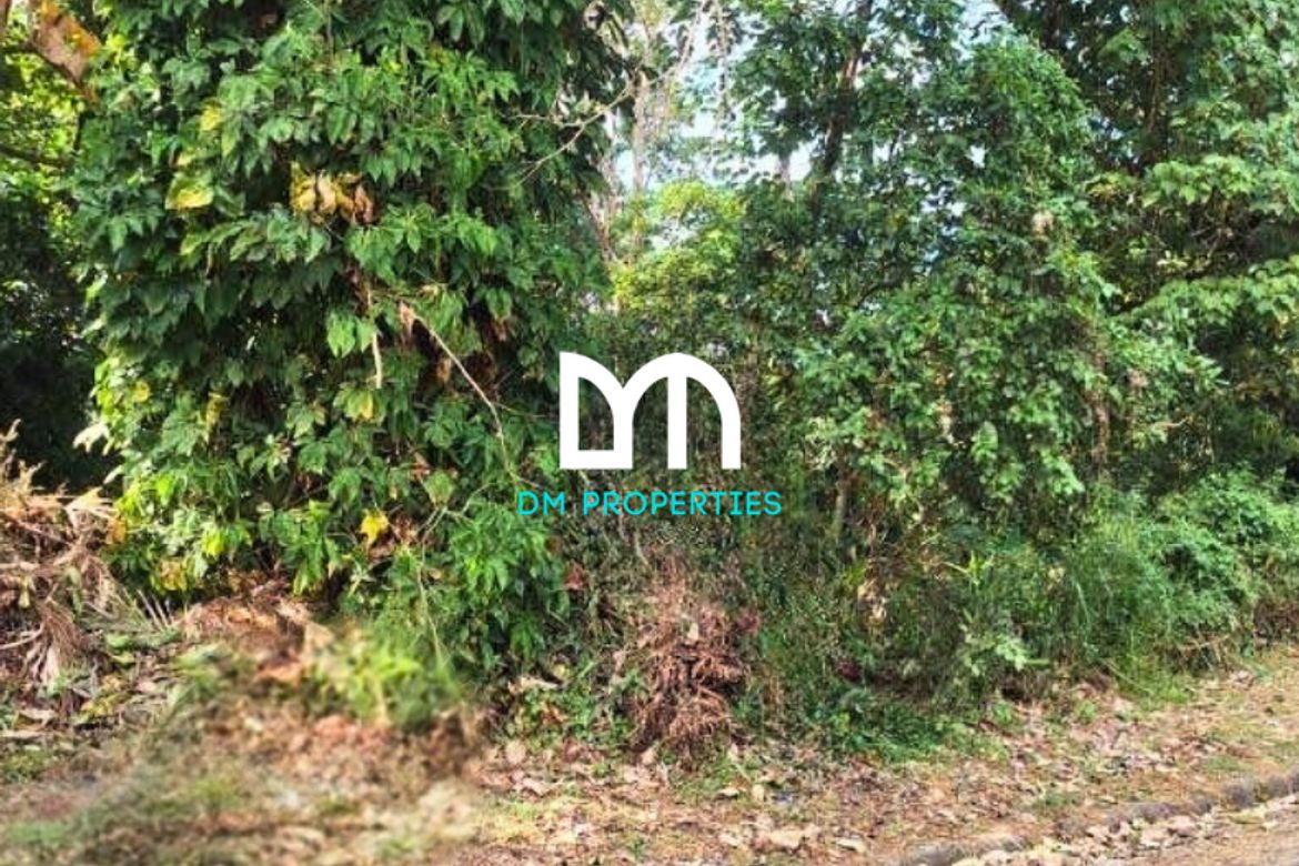 Land for Sale in Dela Paz, Antipolo, Rizal