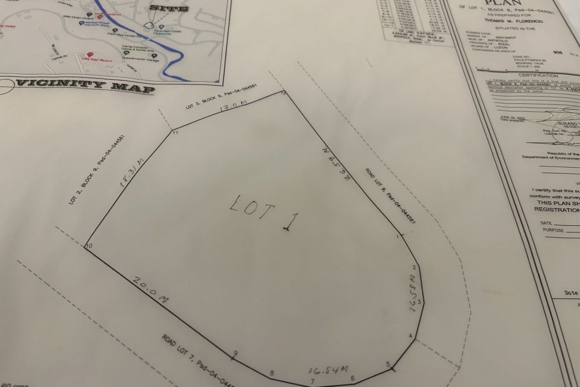 Land for Sale in Dela Paz, Antipolo, Rizal – photo 2