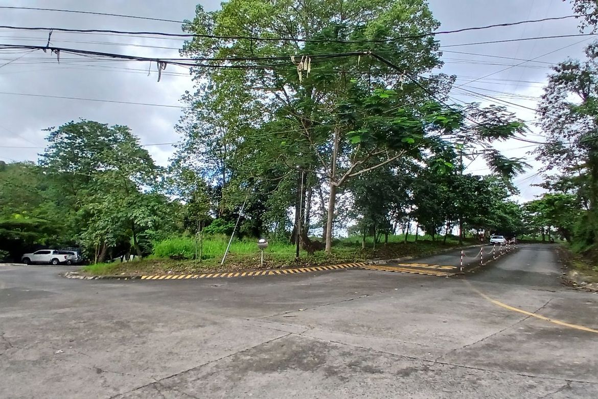 Land for Sale in Dela Paz, Antipolo, Rizal