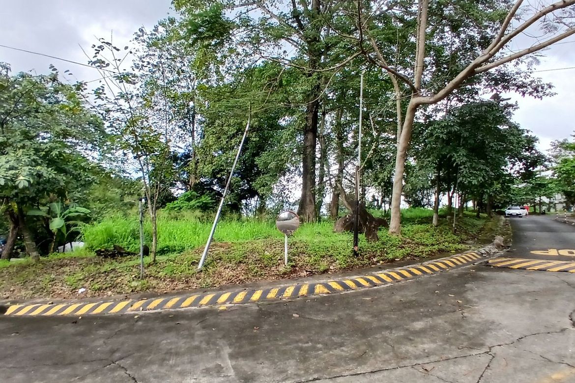 Land for Sale in Dela Paz, Antipolo, Rizal – photo 2