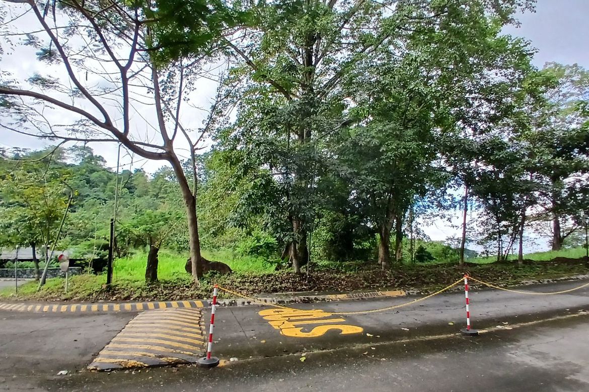 Land for Sale in Dela Paz, Antipolo, Rizal – photo 3