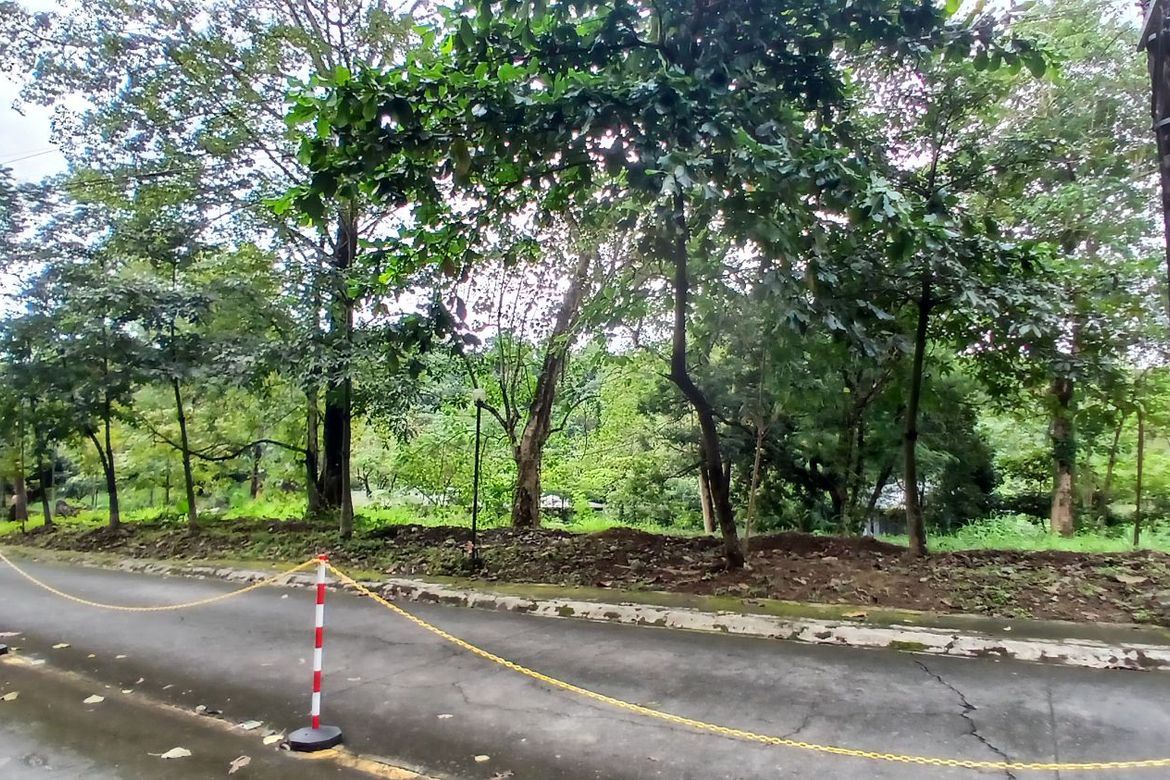 Land for Sale in Dela Paz, Antipolo, Rizal – photo 4